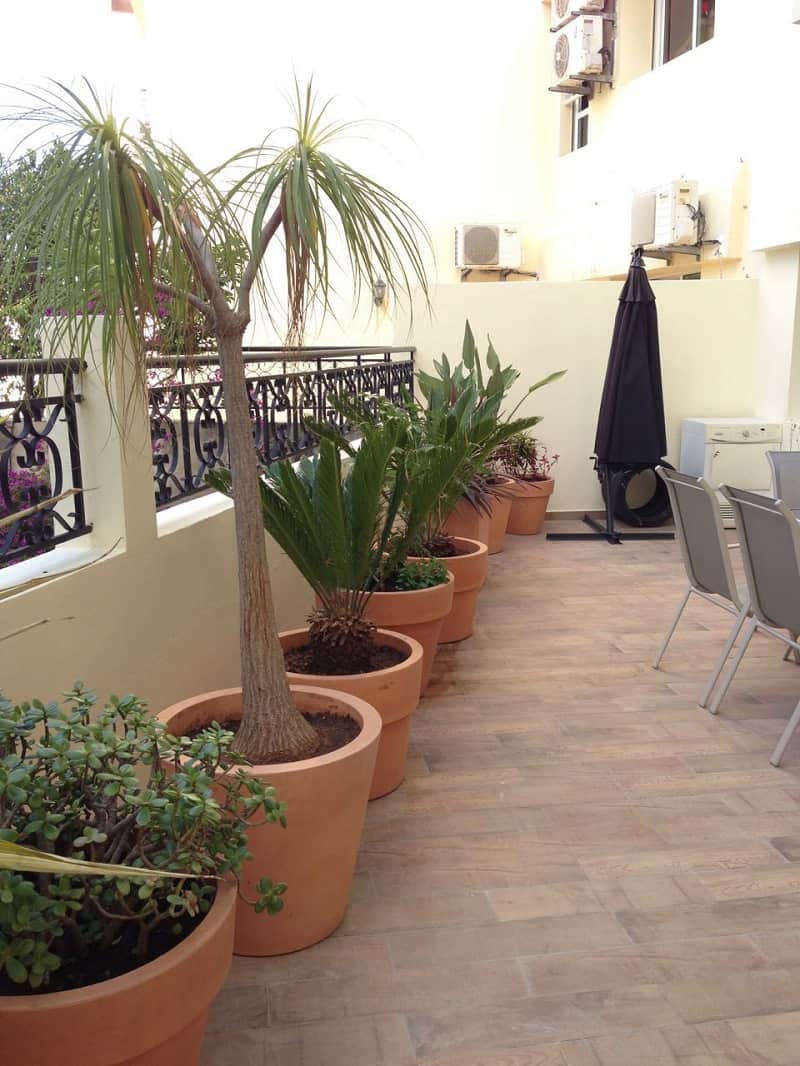 Location bel appartement racine