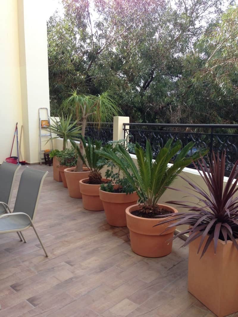 Location bel appartement racine