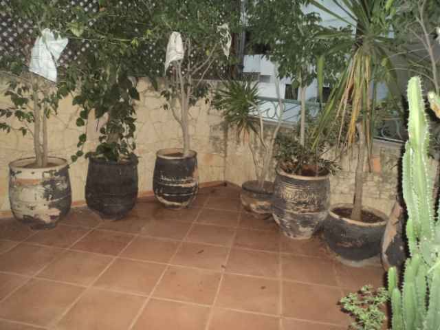 LOCATION-APPARTEMENT-MEUBLE-SUR-RACINE