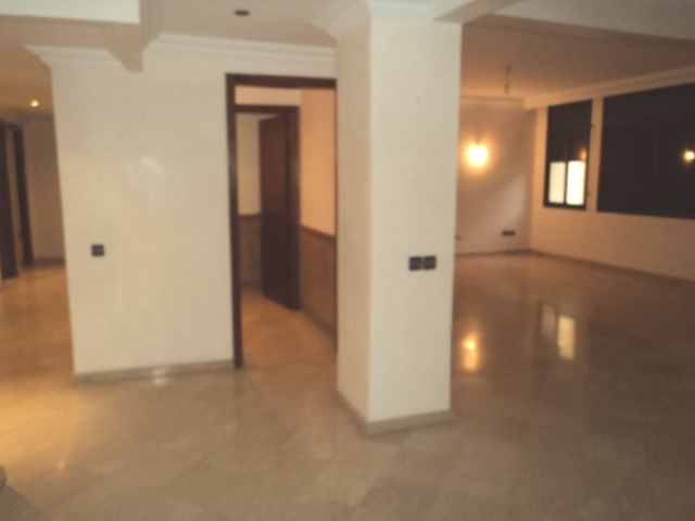 LOCATION SPACIEUX APPARTEMENT RACINE