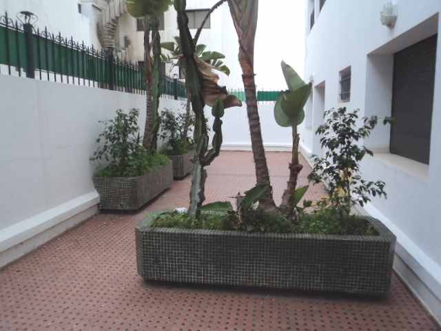 LOCATION SPACIEUX APPARTEMENT RACINE