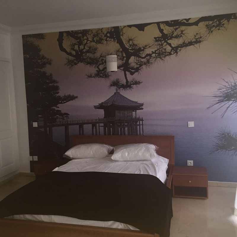 Studio-meublé-en-location-sur-racine-Ext.