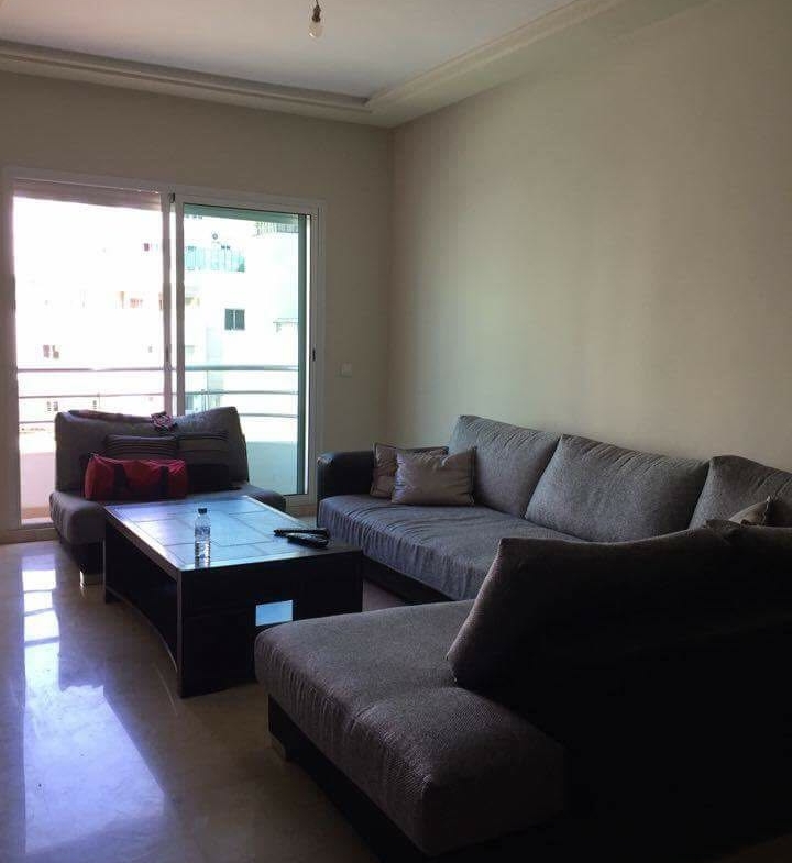 APPARTEMENT-MEUBLÉE-EN-LOCATION-SUR-LES-PRINCESSES