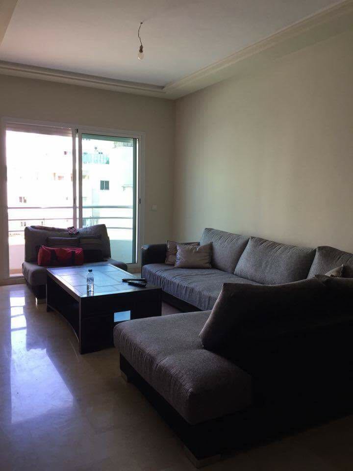 APPARTEMENT-MEUBLÉE-EN-LOCATION-SUR-LES-PRINCESSES