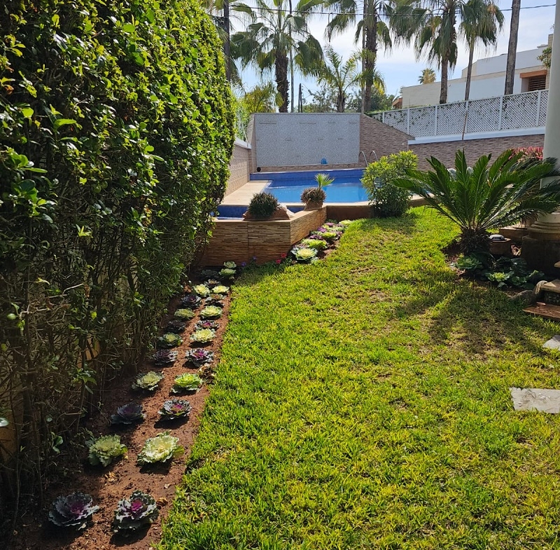 Ain Diab-Vente-Villa -4CH-Avec-Piscine