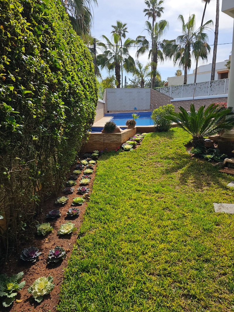 Ain Diab-Vente-Villa -4CH-Avec-Piscine